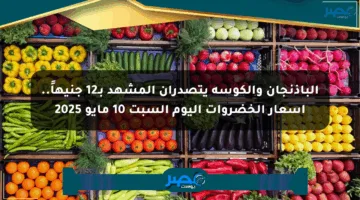 الباذنجان والكوسة يتصدران المشهد بـ12 جنيهاً.. أسعار الخضروات اليوم السبت 10 مايو 2025
